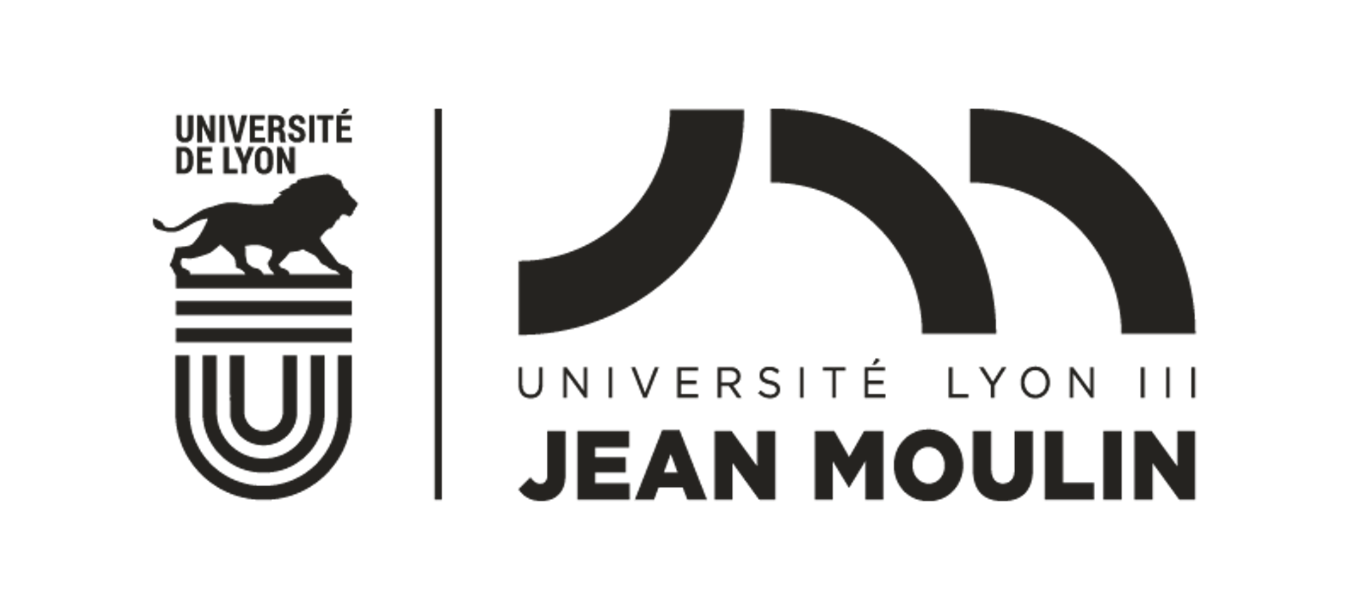 Université Lyon Jean Moulin