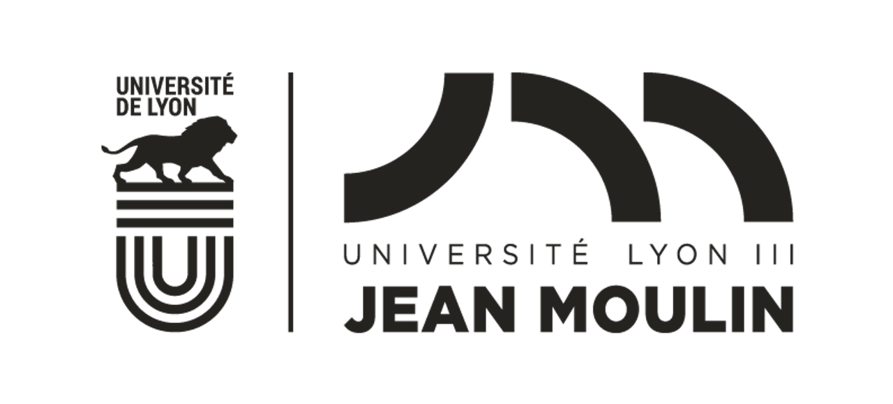 Université Lyon Jean Moulin