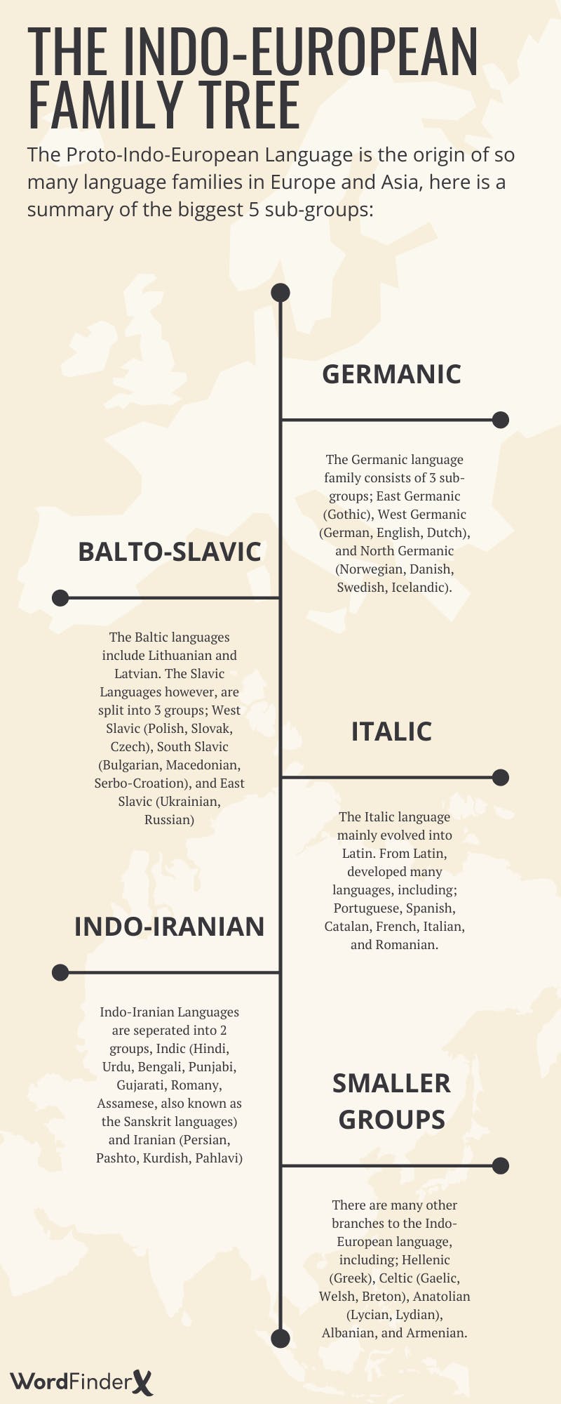 Indo European Languages Infographic