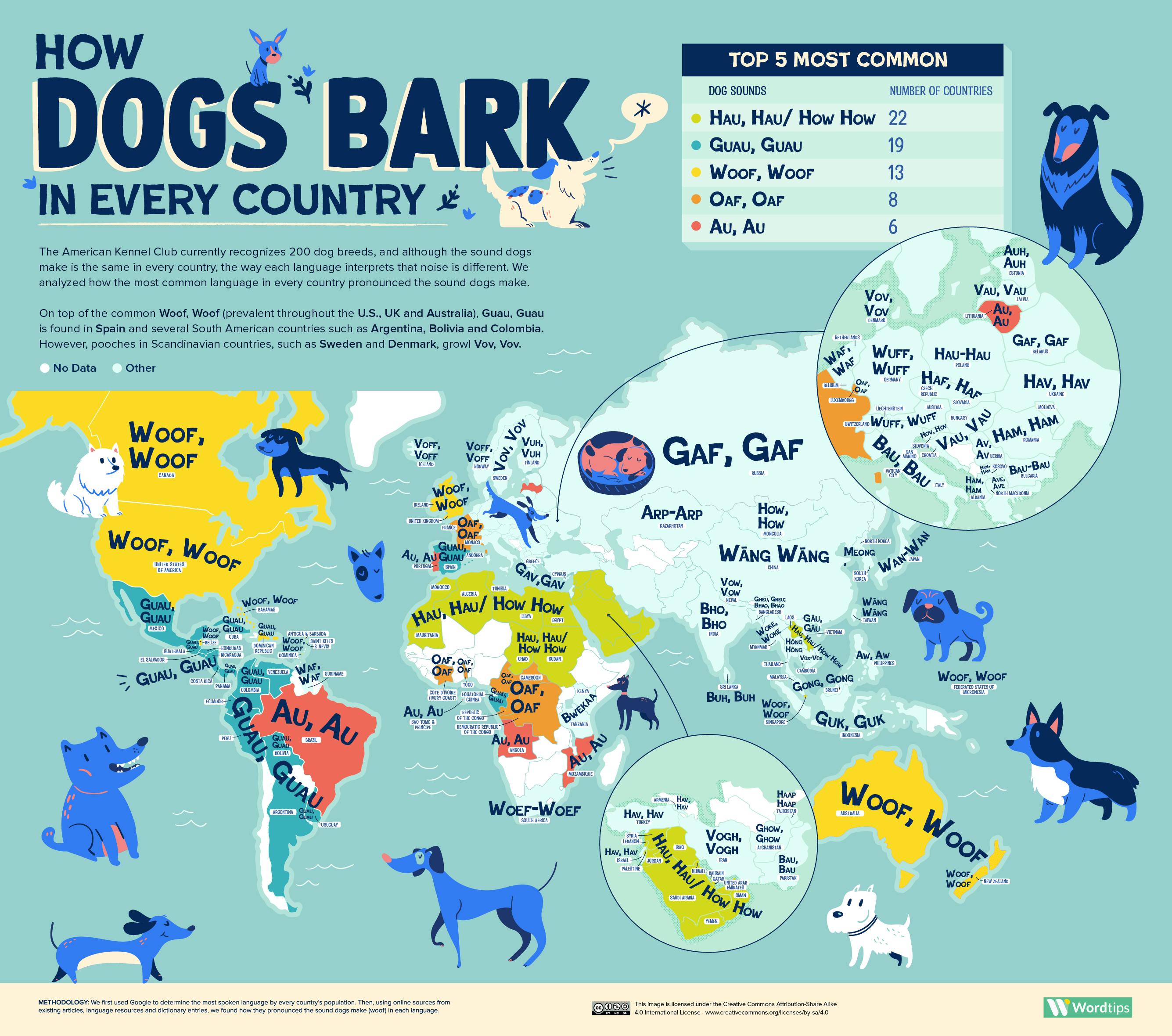 How Dogs Bark and Cats Meow in Every Country - Word Tips