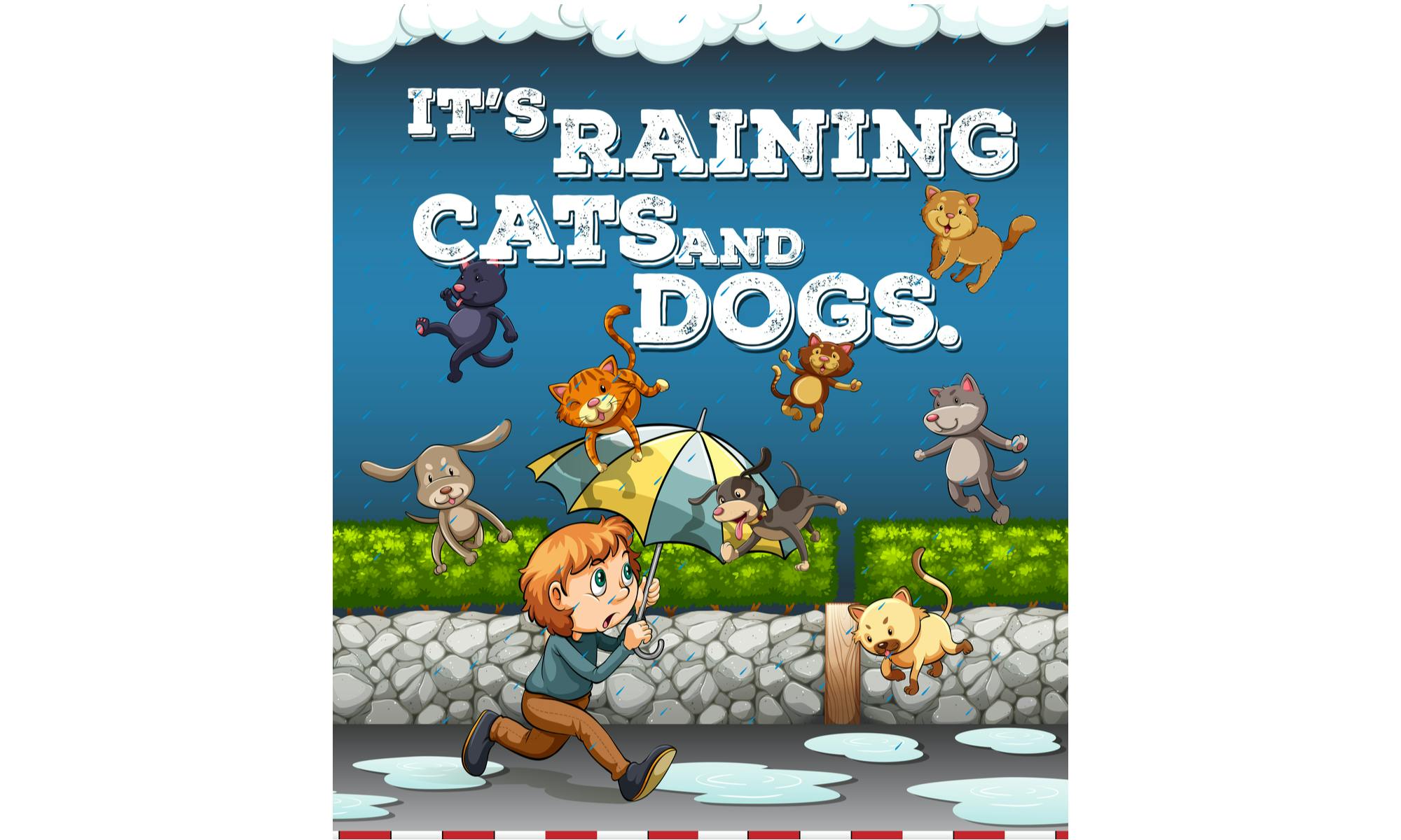 what literary device is raining cats and dogs