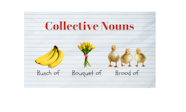 Collective Nouns Examples Sentences And Rules Grammar