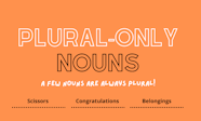 Plural Only Nouns Rules And Examples Grammar