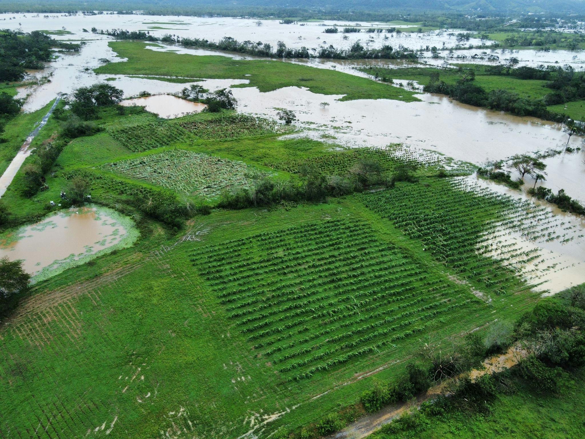 world-central-kitchen-fpn-responds-to-hurricane-fiona-in-puerto-rico