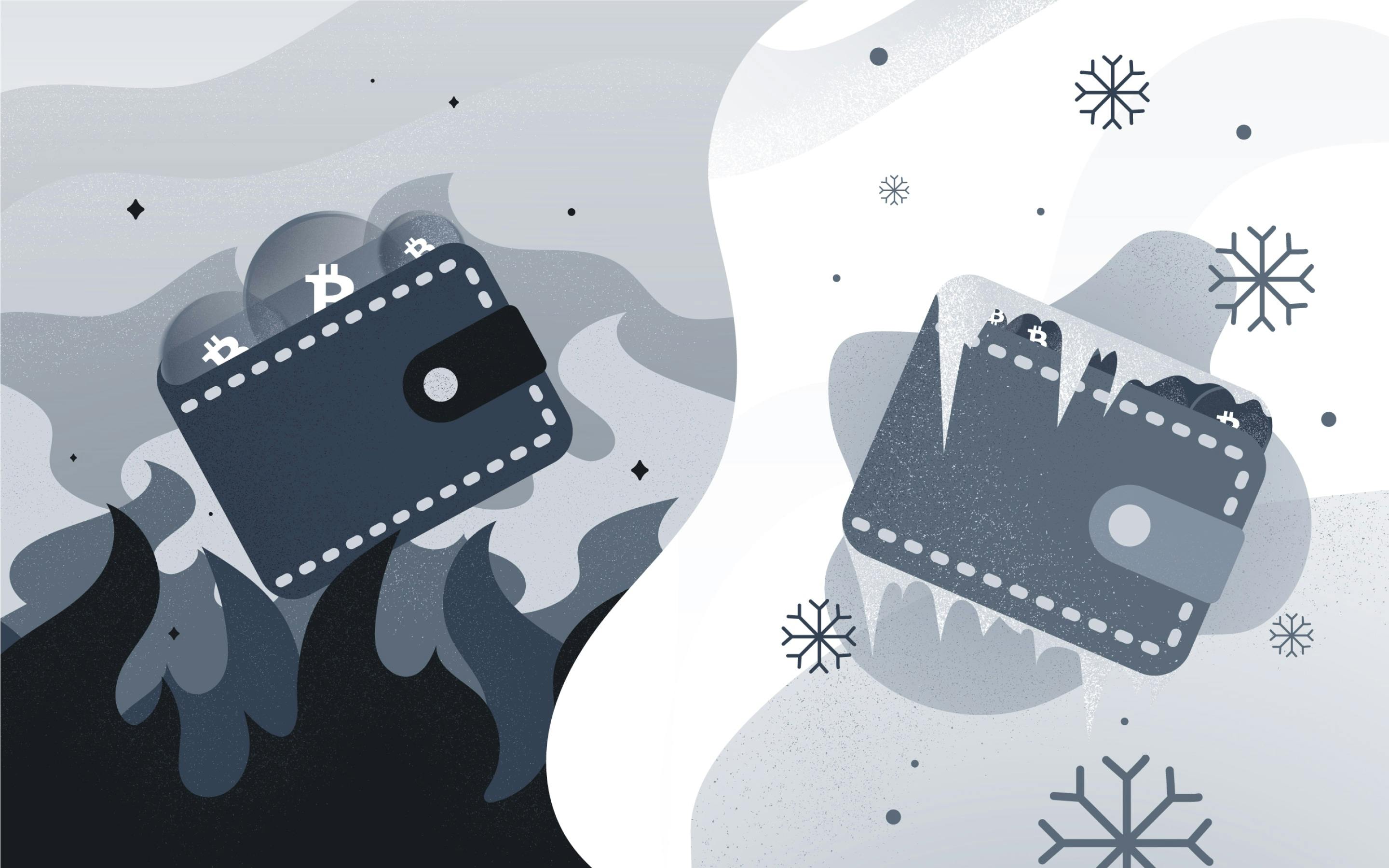 Cold Wallet vs. Hot Wallet: Benefits and Differences | World Articles