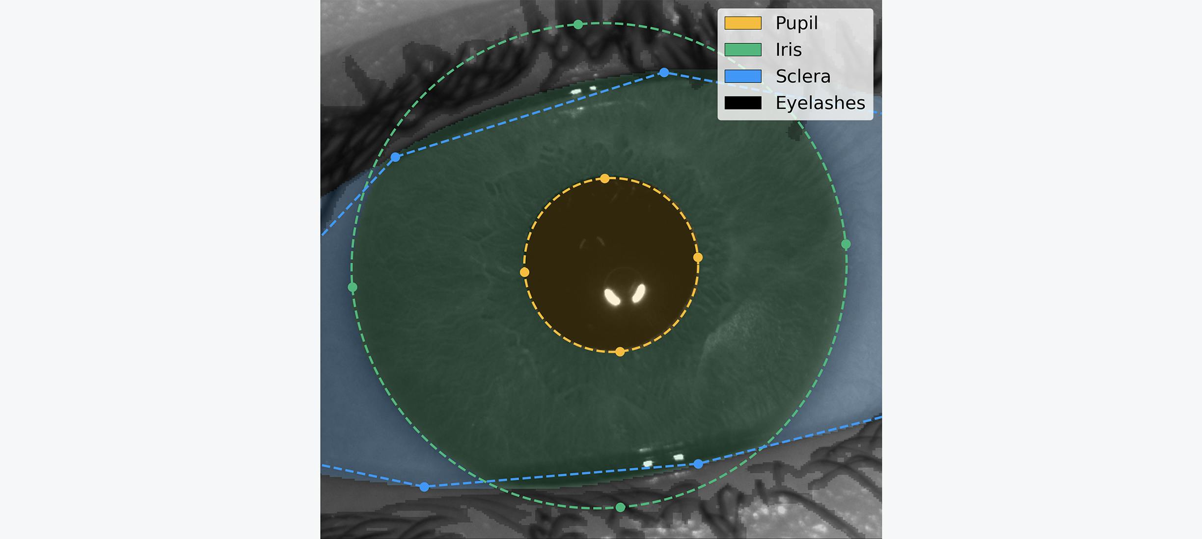 Iris recognition inference system