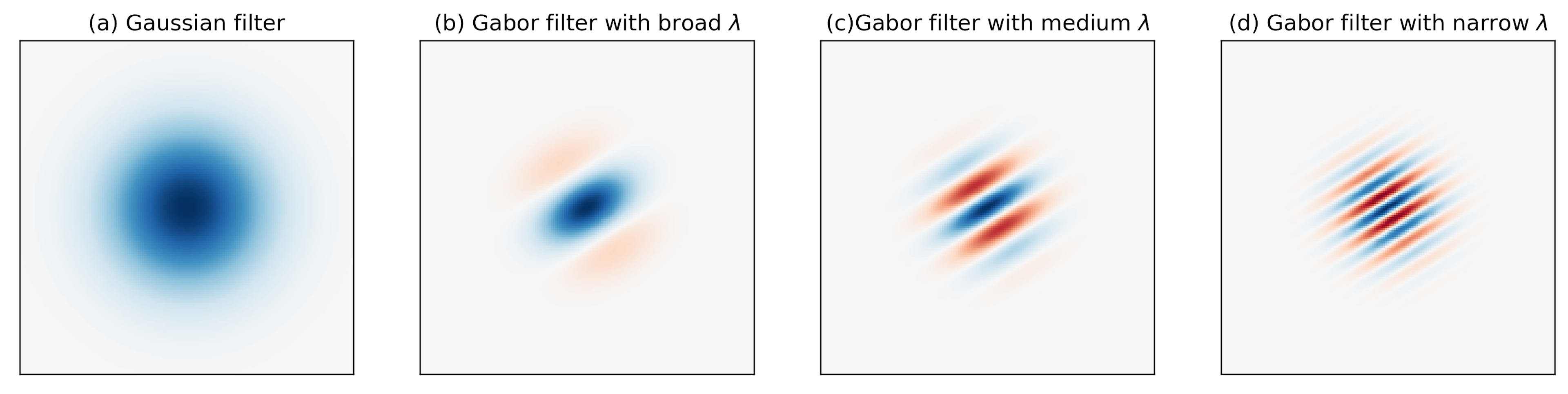 Four different types of filters displayed: Gaussian filter, Gabor filter with broad wavelength, Gabor filter with medium wavelength, and Gabor filter with narrow wavelength, showcasing variations in texture and patterns.