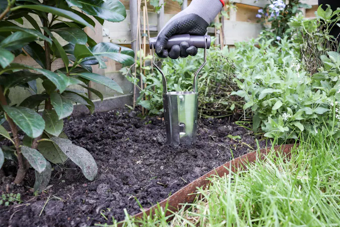 plantoir à bulbes