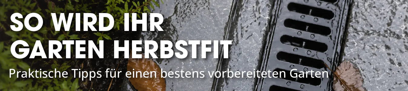 Garten fit für den Herbst machen