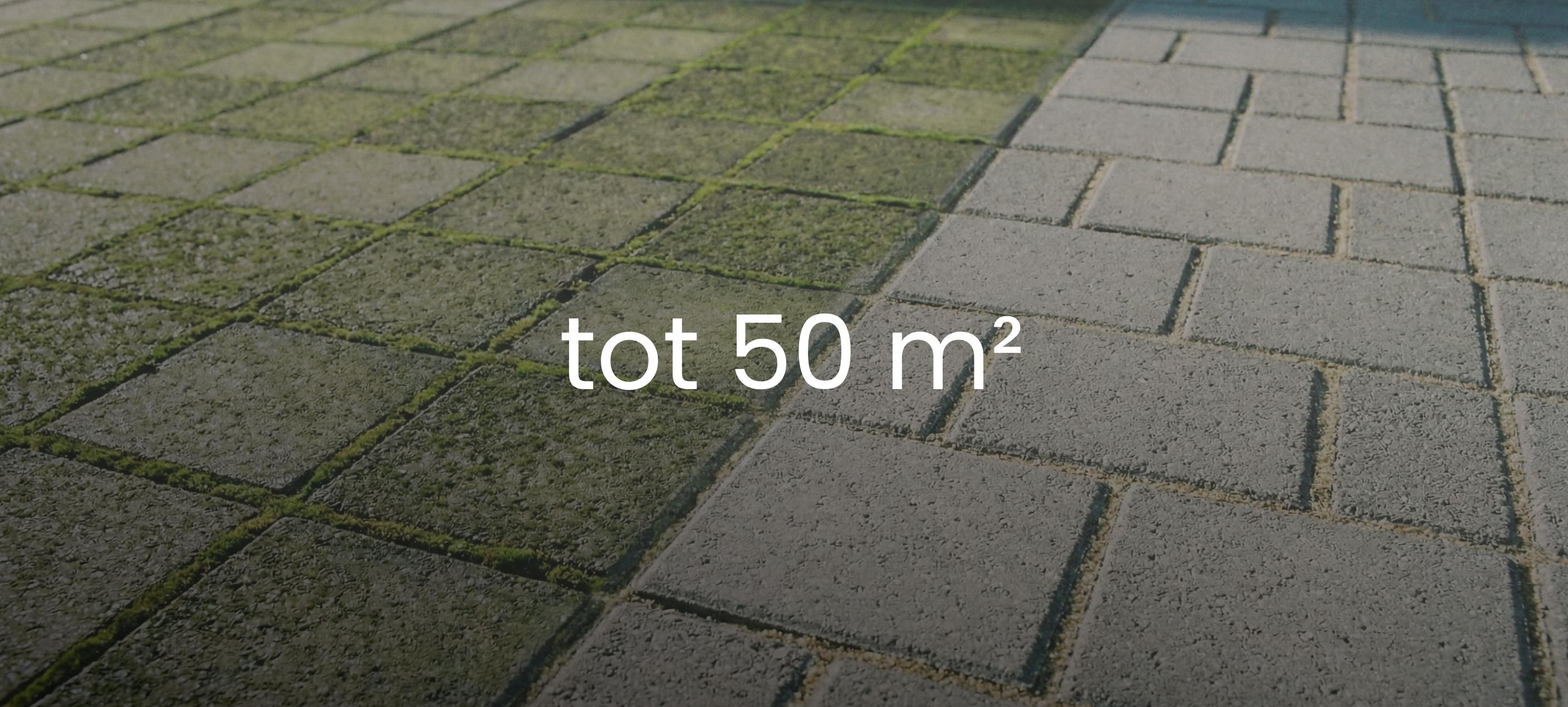 Advies voor groene aanslag verwijderen tot 50m2