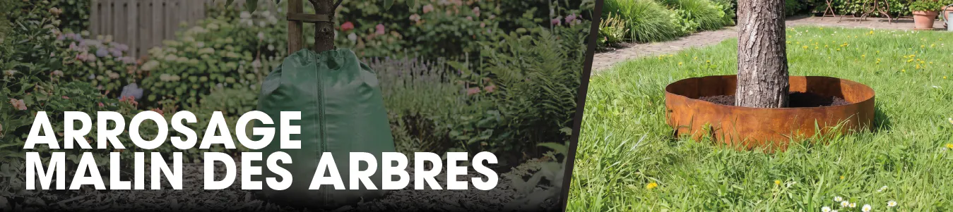 Arrosage intelligent des arbres en cas de sécheresse et de chaleur