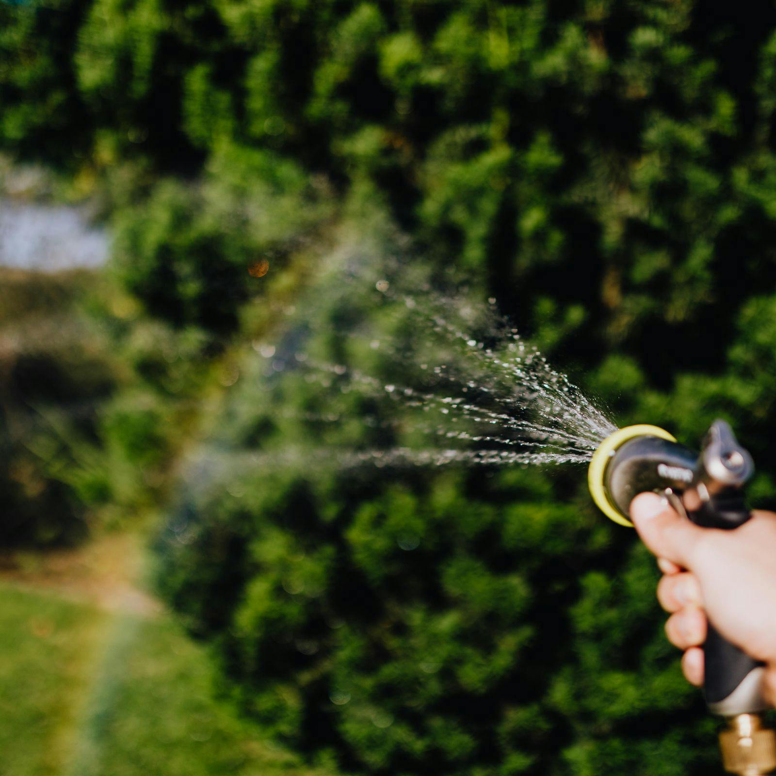 Tuin bewateren: welke soorten sproeiers zijn er?