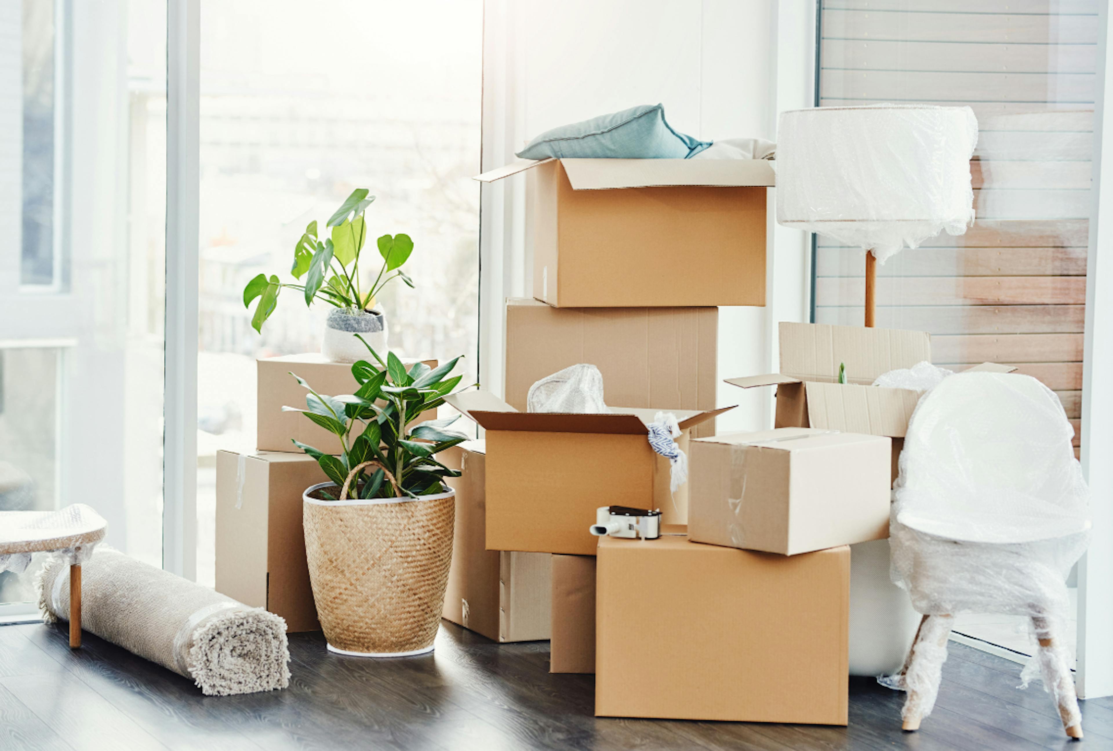 Moving boxes in bright room 