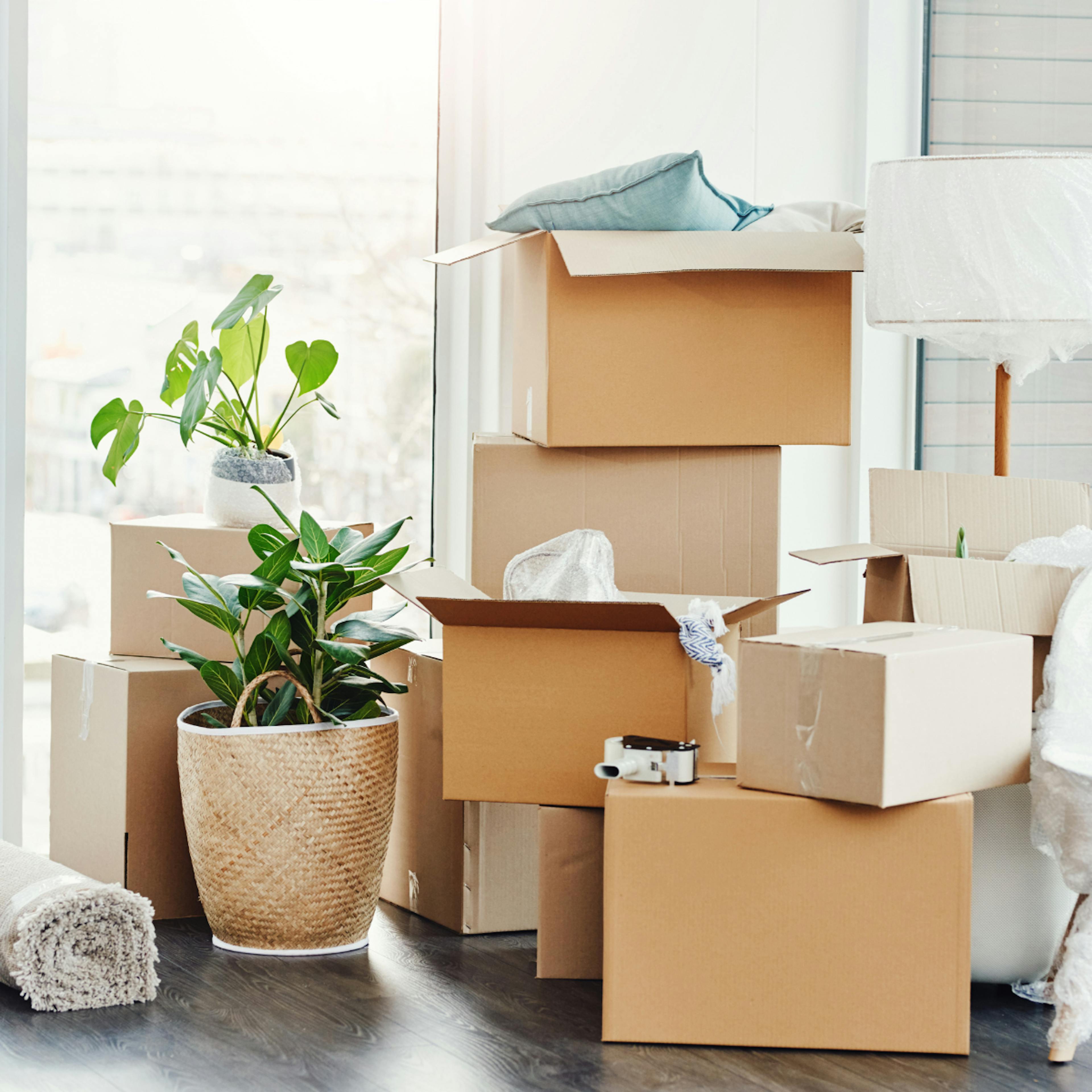 Moving Boxes for Moving away Gift ideas