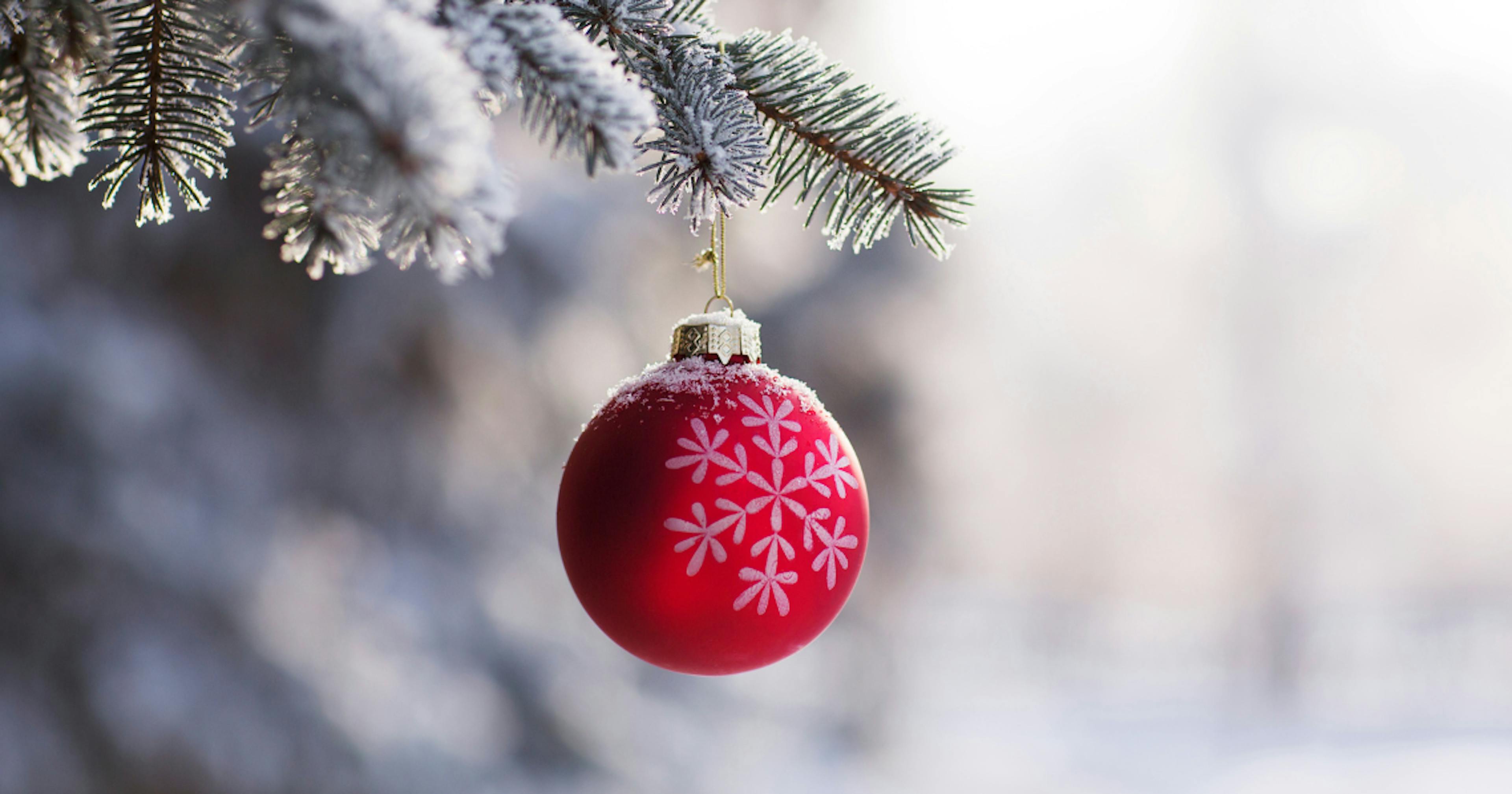 Christmas ornament hanging on tree