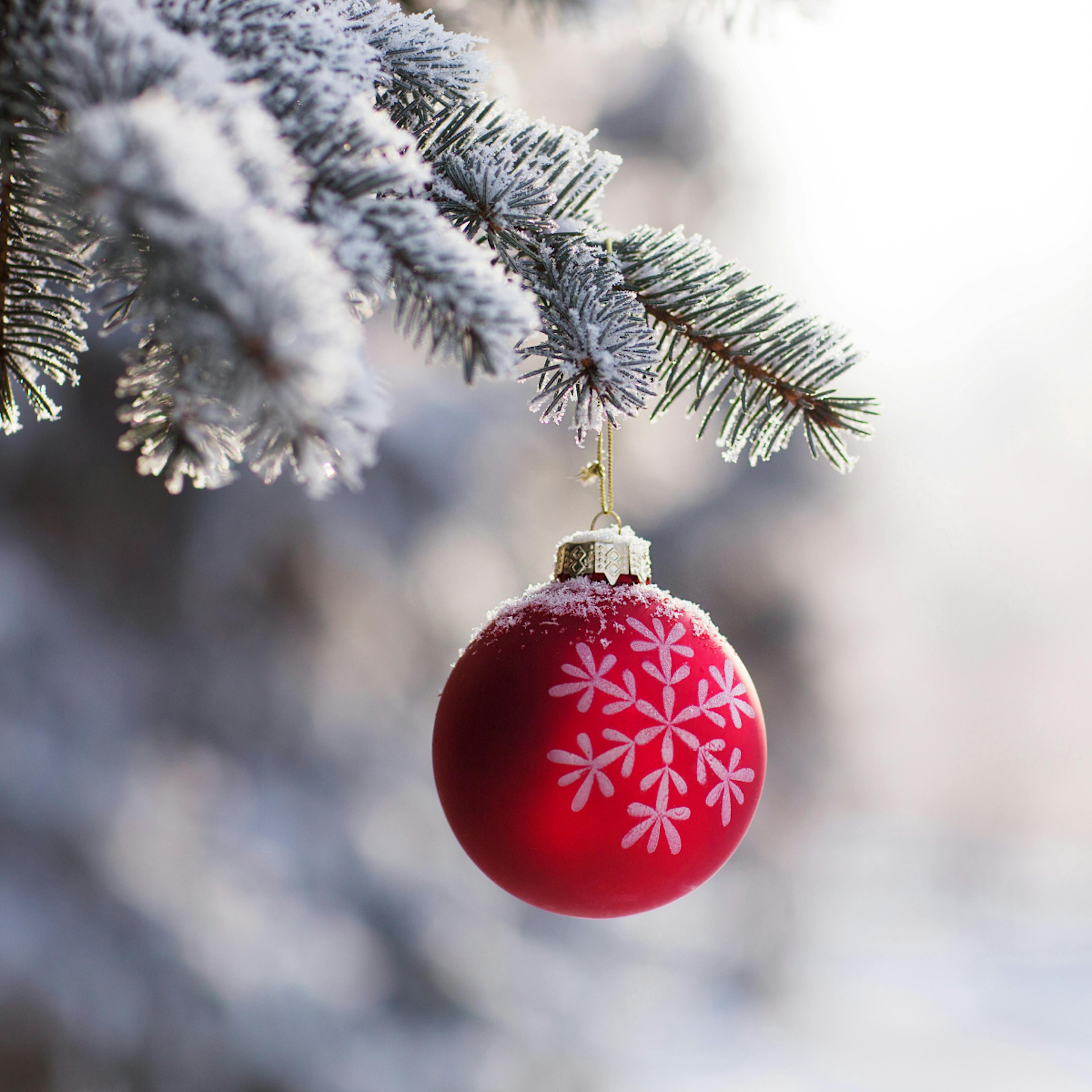 Christmas ornament hanging on tree