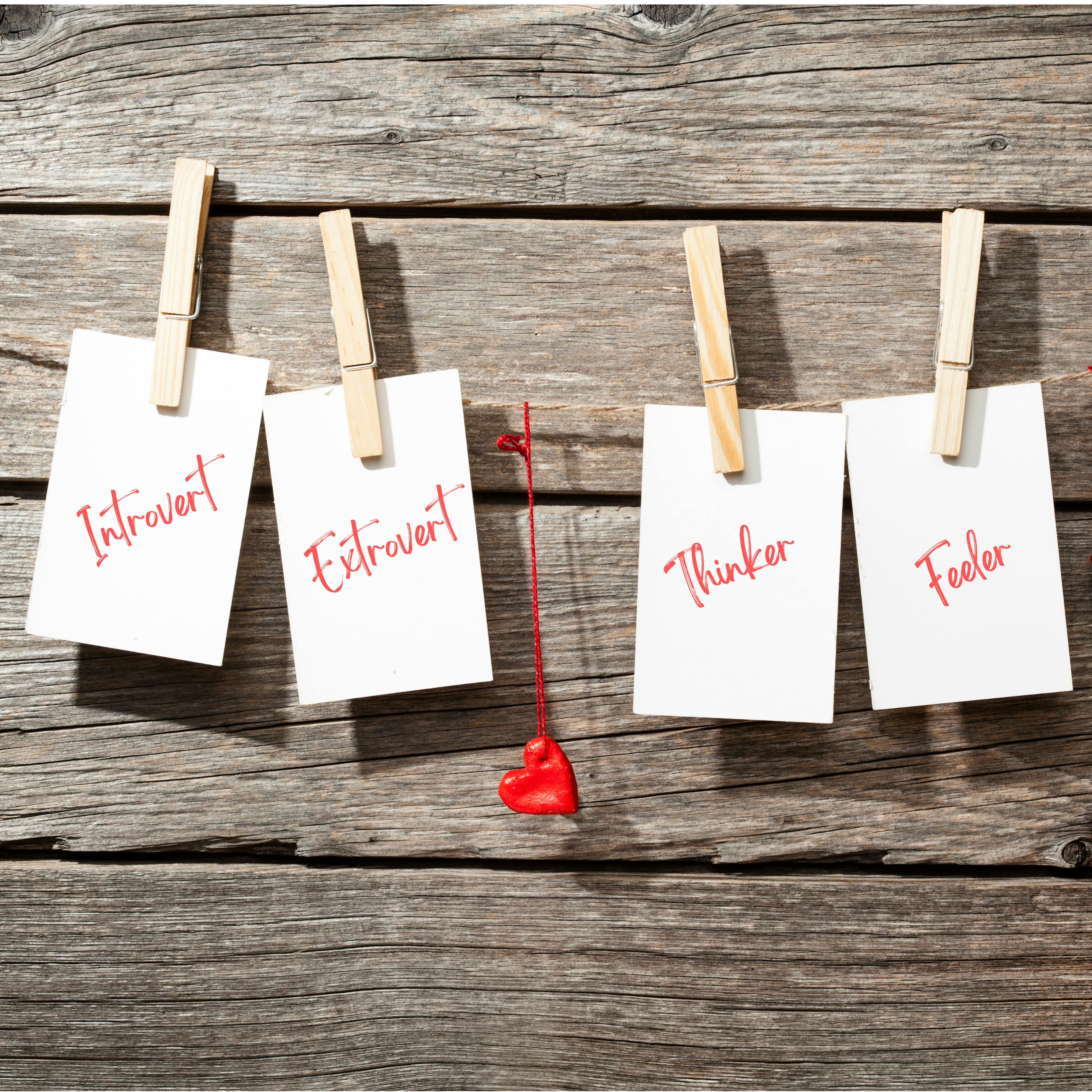 Pieces of paper with four personality types written on them: Introvert, Extrovert, Thinker, Feeler