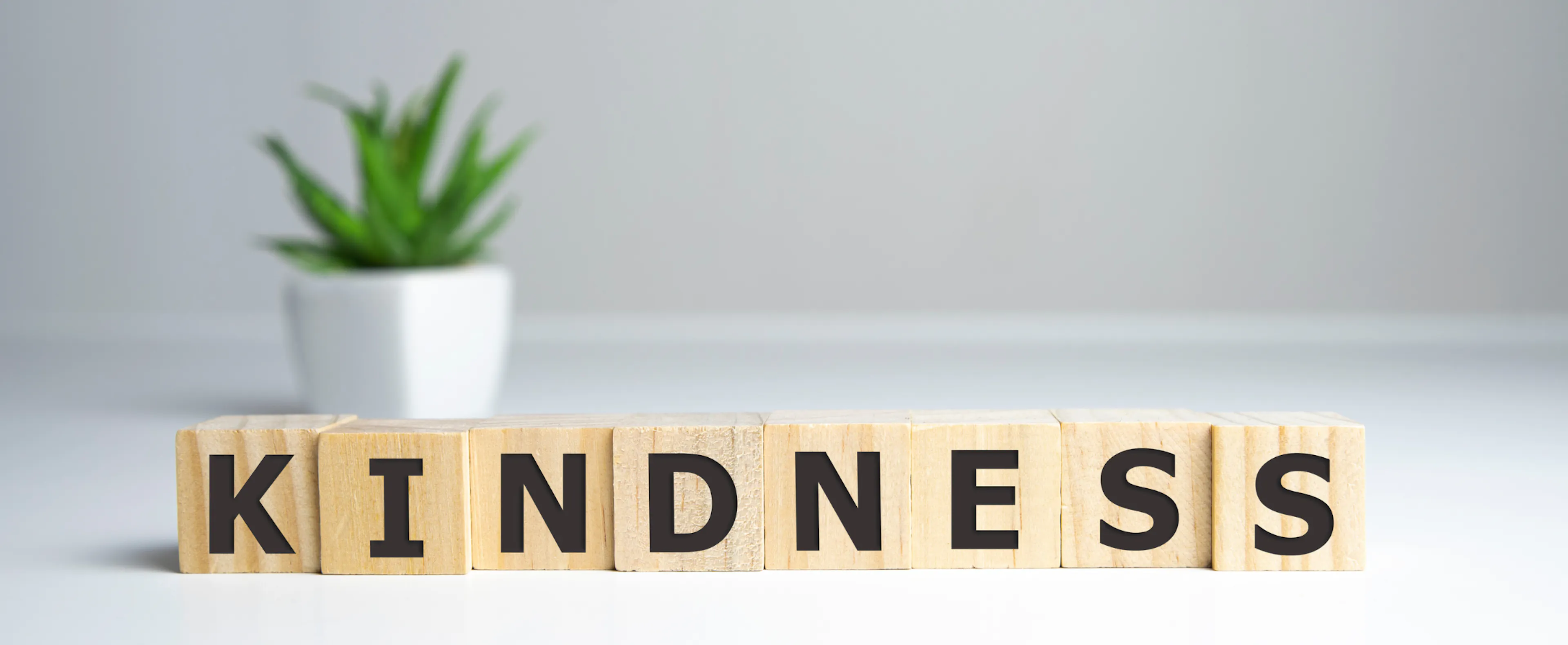 Letter blocks spelling out KINDNESS, to represent the ripple effect of kindness