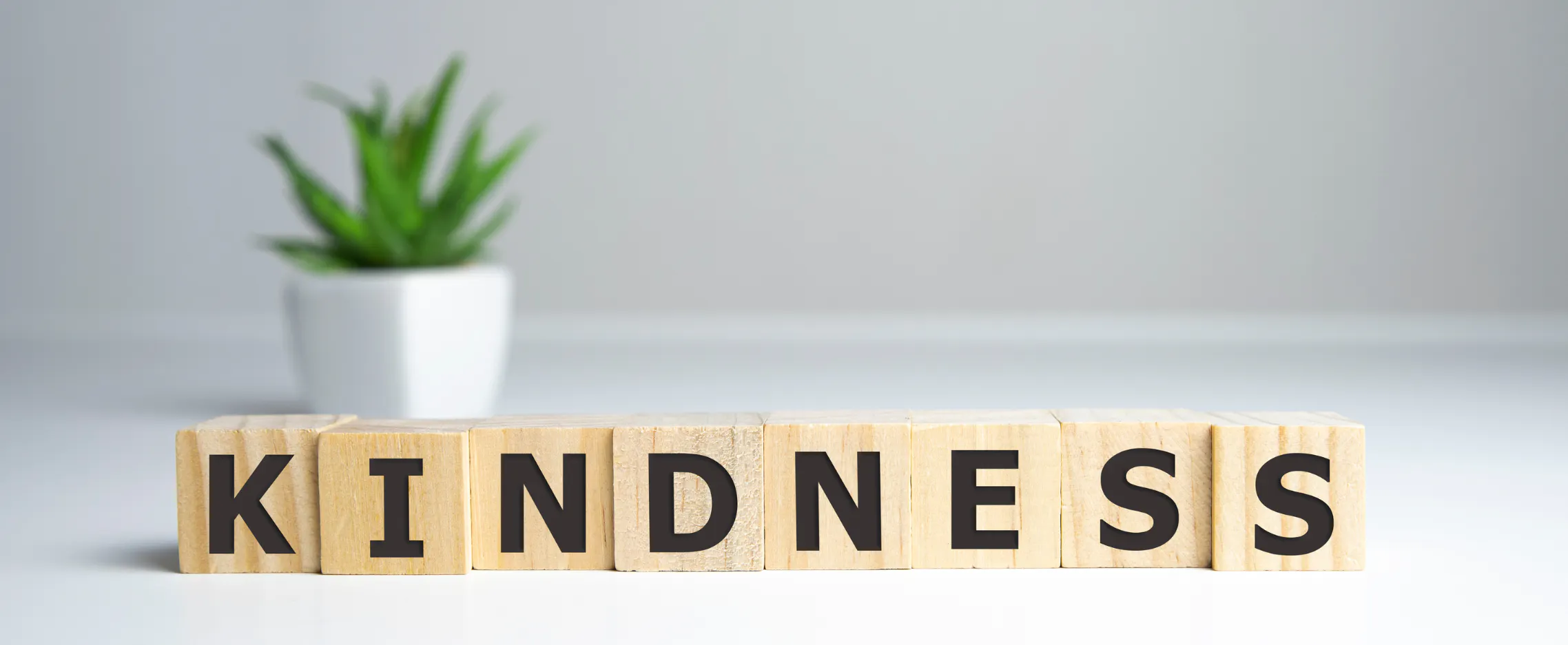 Letter blocks spelling out KINDNESS, to represent the ripple effect of kindness