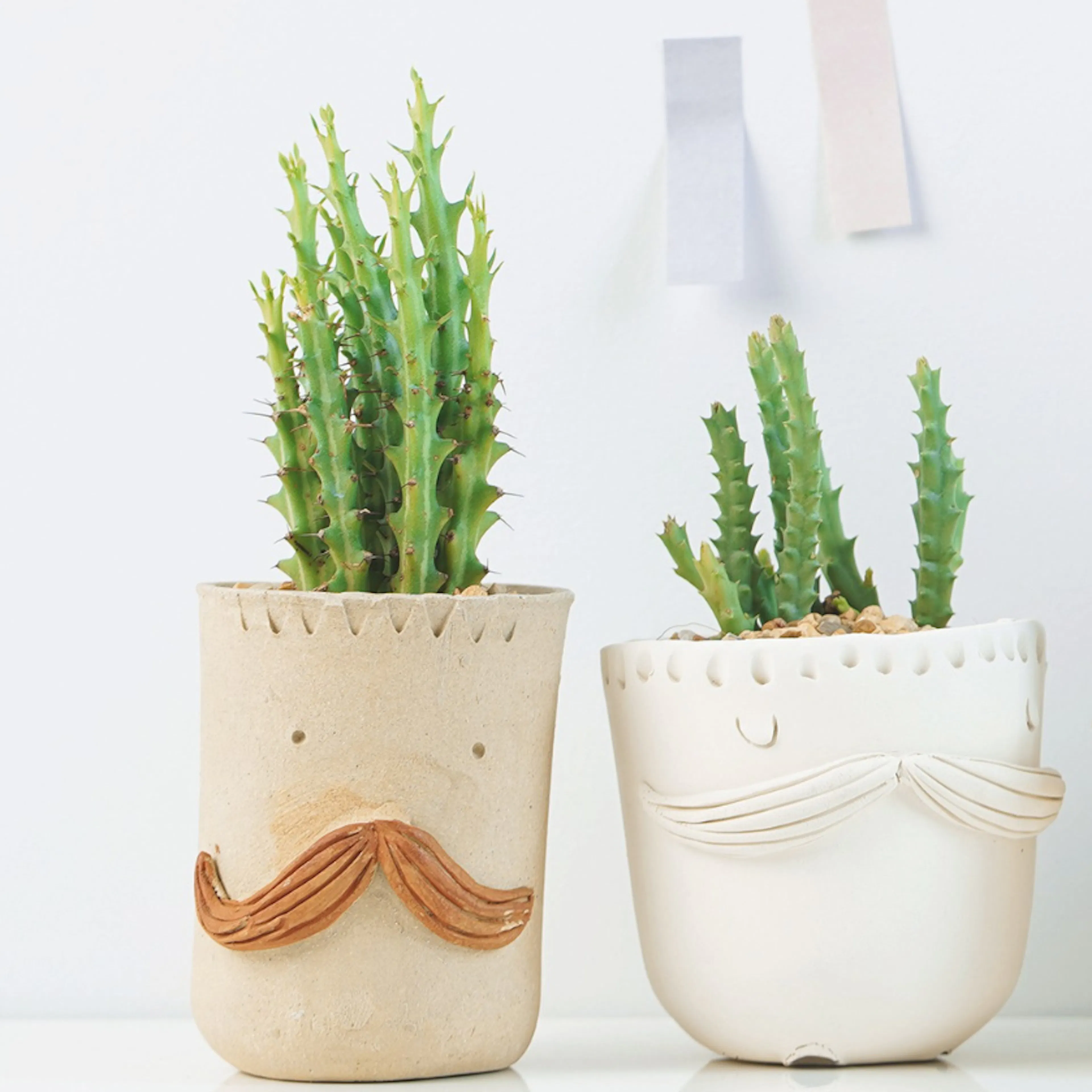 Inspirational quote by Aesop reading "No act of kindness, no matter how small, is ever wasted," displayed on a background with cacti in funny planter pots, representing kindness even when it's difficult