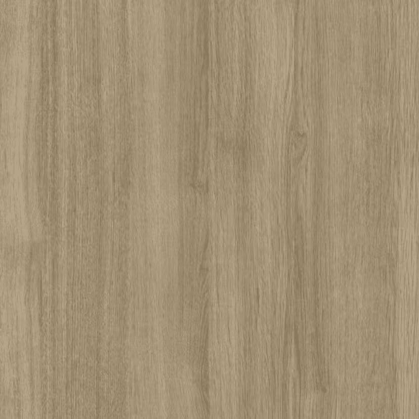 THE CHAMELEON PBME0584T-192S77