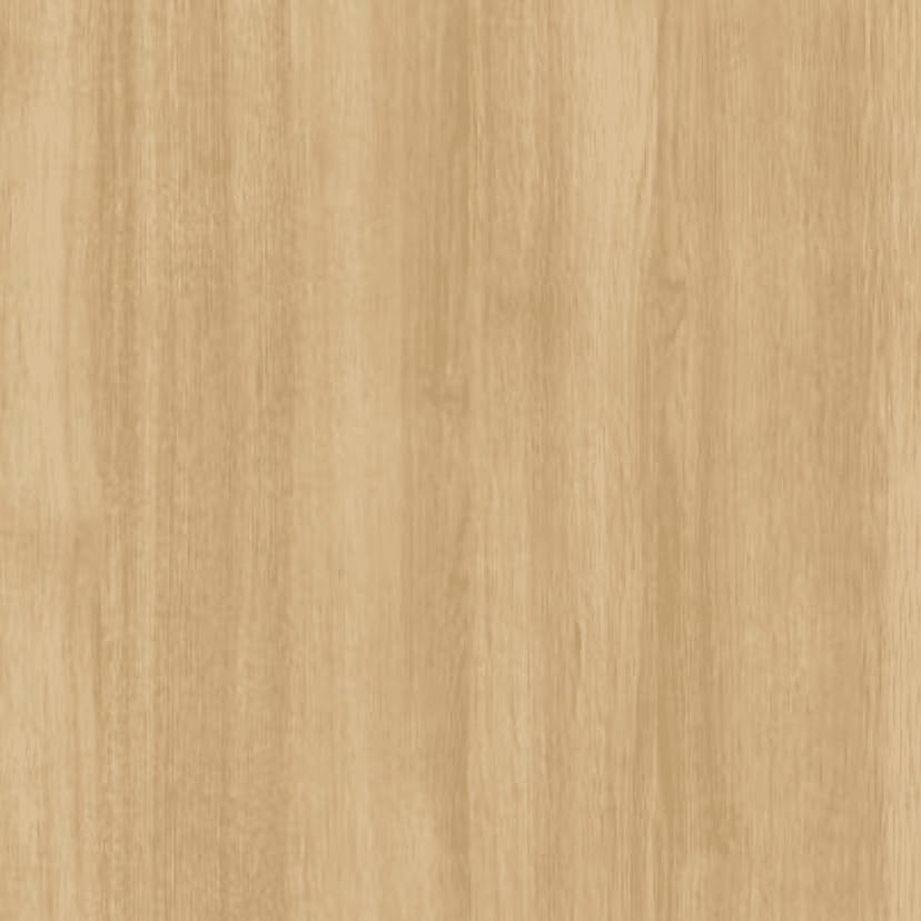 SHEER BEAUTY PBME0581 T-192S77