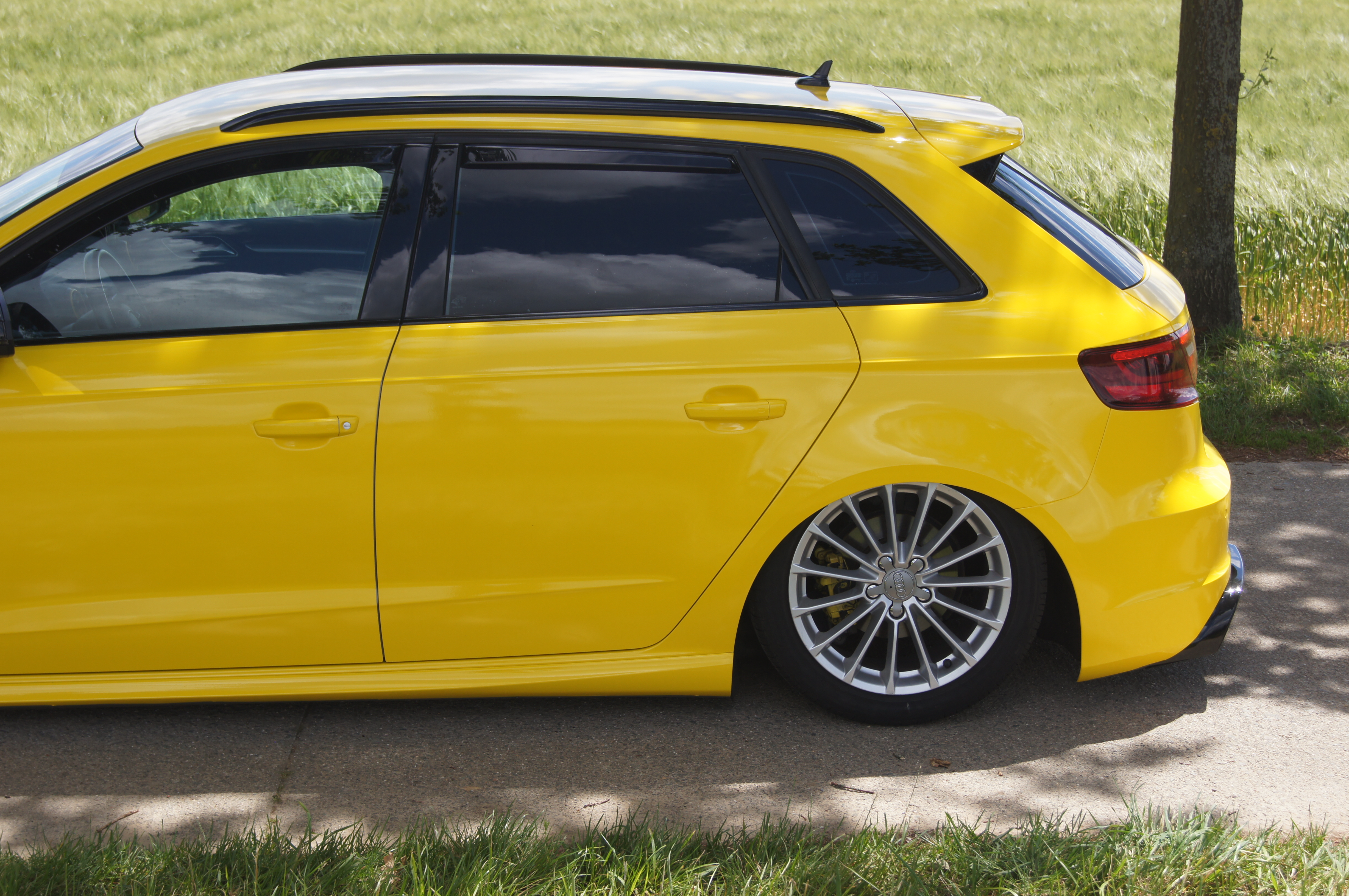 full wrap sunflower yellow