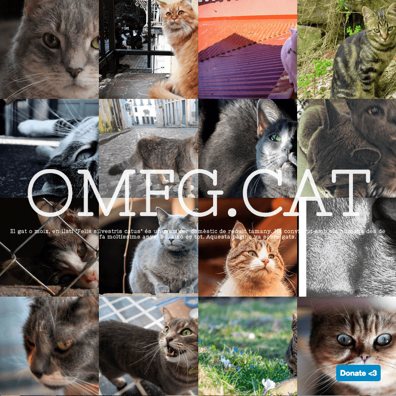 Screenshot of omfg.cat, lots of cats displayed in a grid.