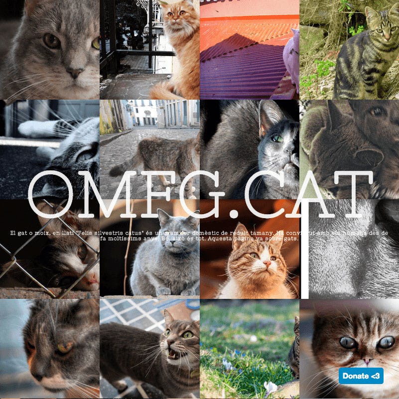 Screenshot of omfg.cat, lots of cats displayed in a grid.
