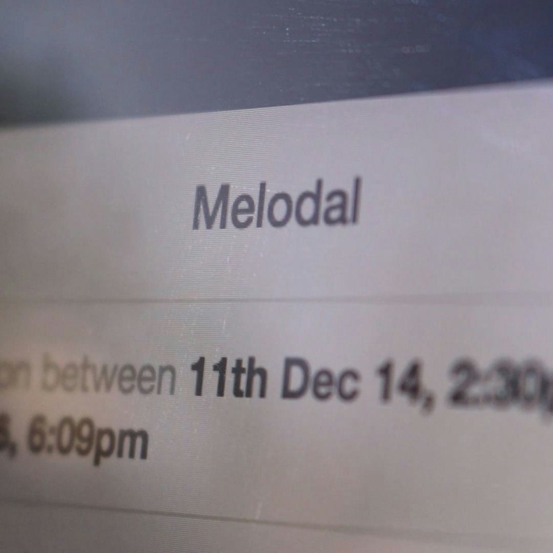 Photo of the Melodal website interface