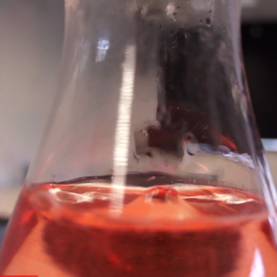 A carafe full of fake blood