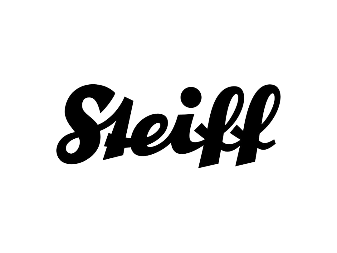 Sleiff logo