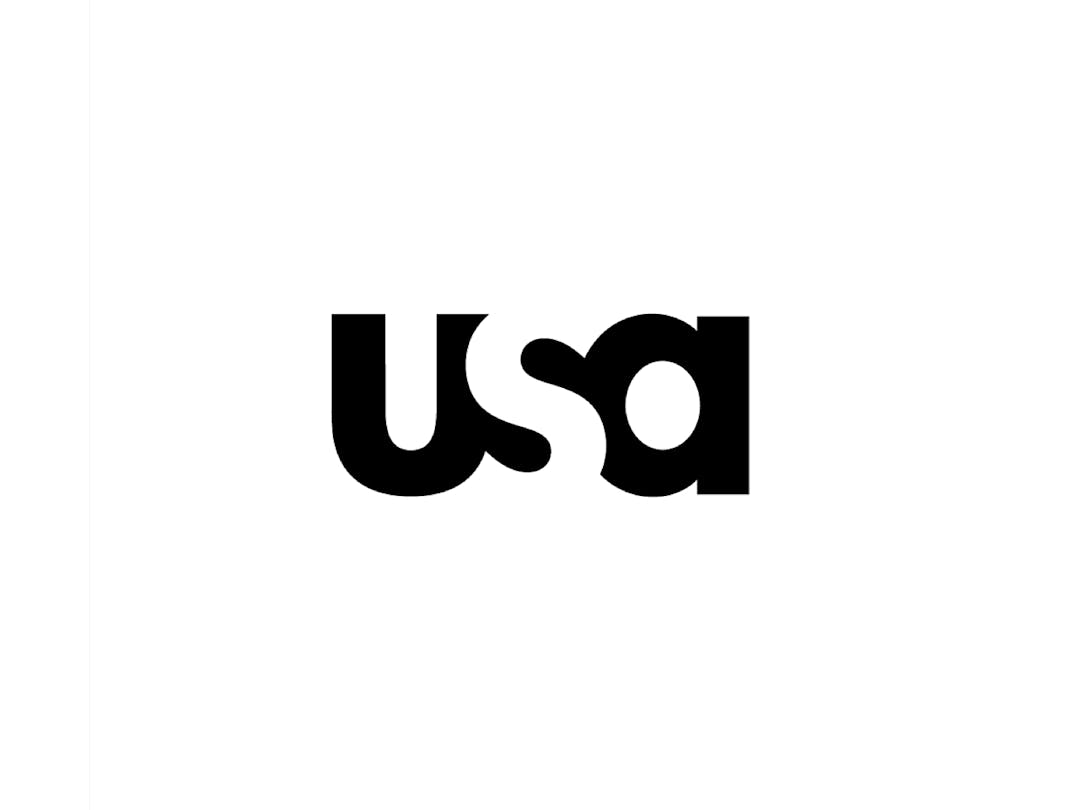 usa logo