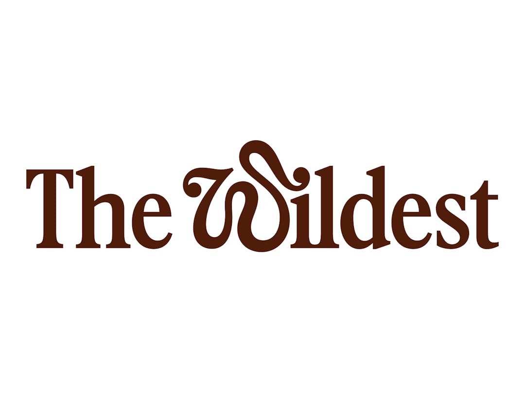 The Wildest logo