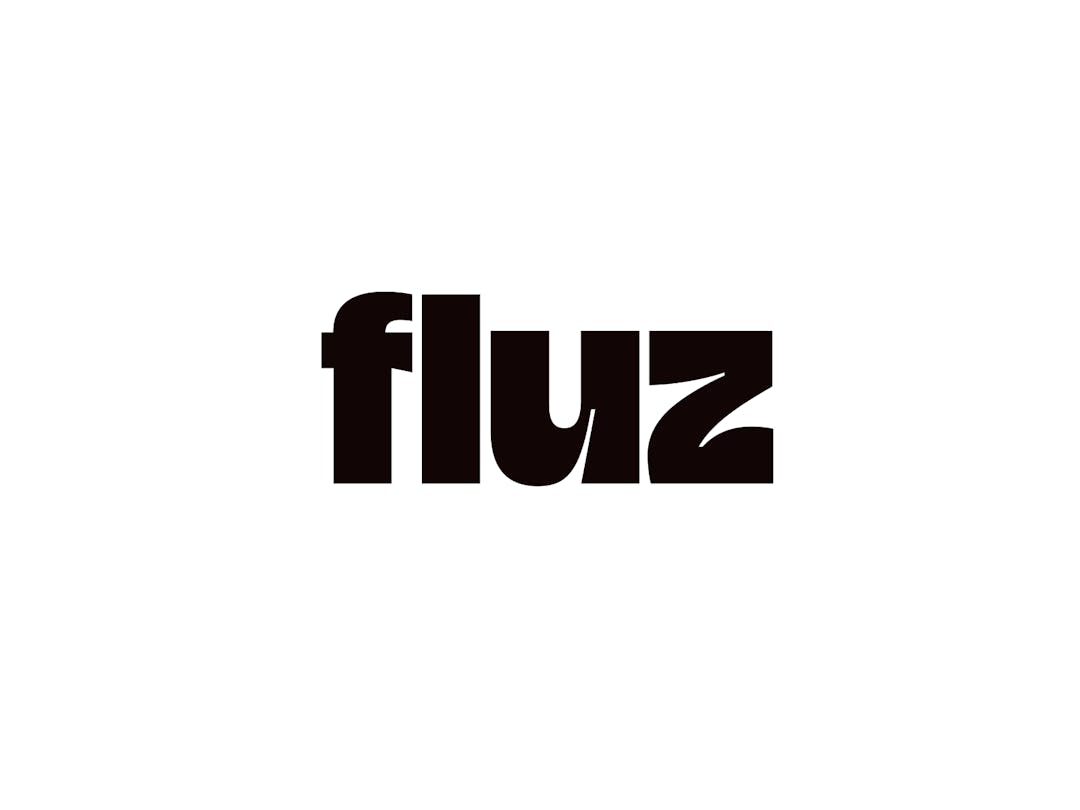 fluz logo wordmark