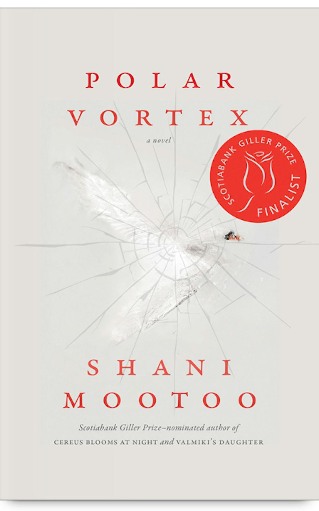 Polar Vortex