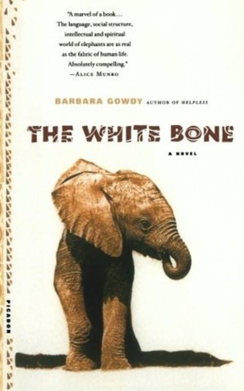 The White Bone