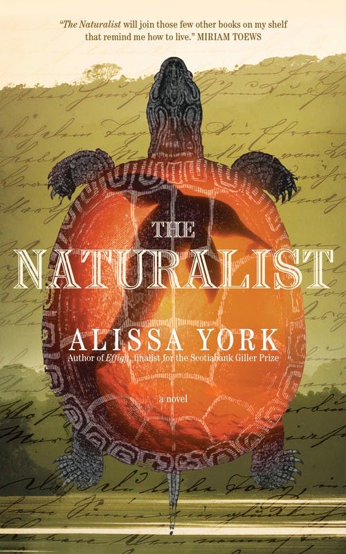 The Naturalist