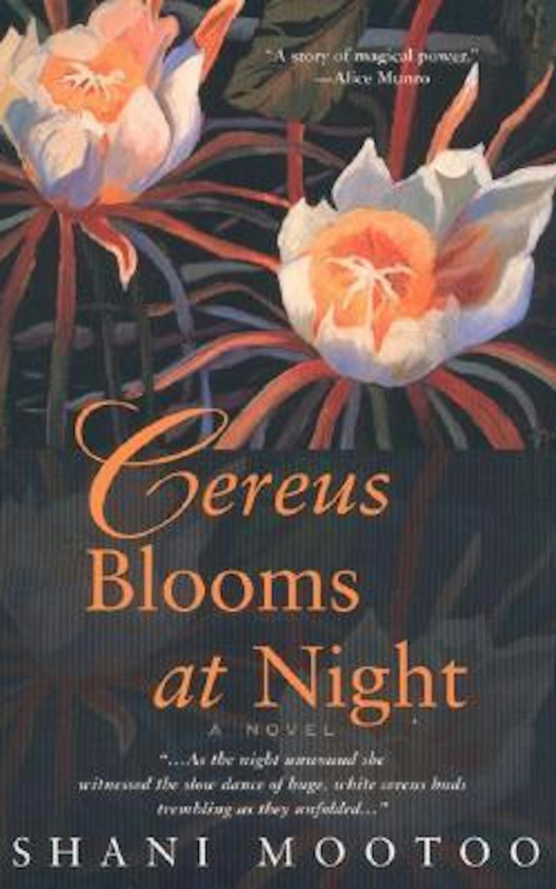 Cereus Blooms at Night