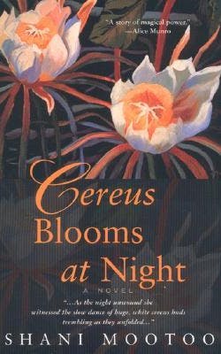 Cereus Blooms at Night