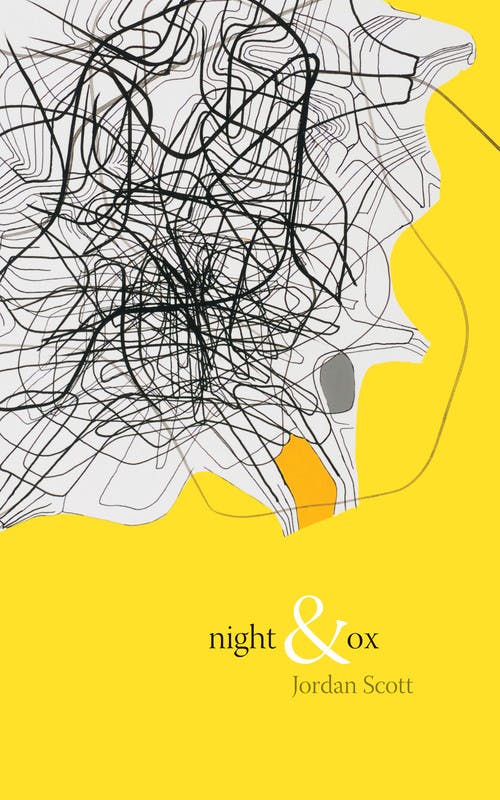 Night & Ox