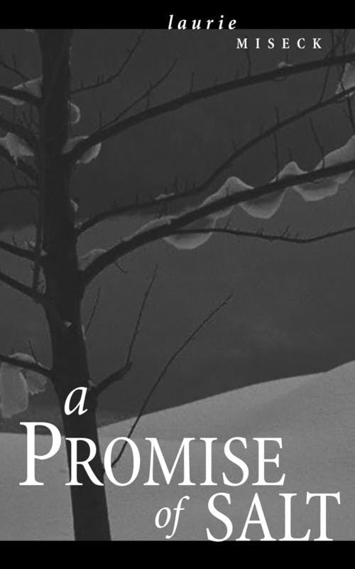 A Promise of Salt