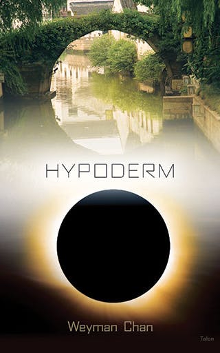 Hypoderm: Notes to Myself