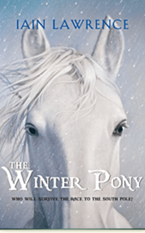 The Winter Pony