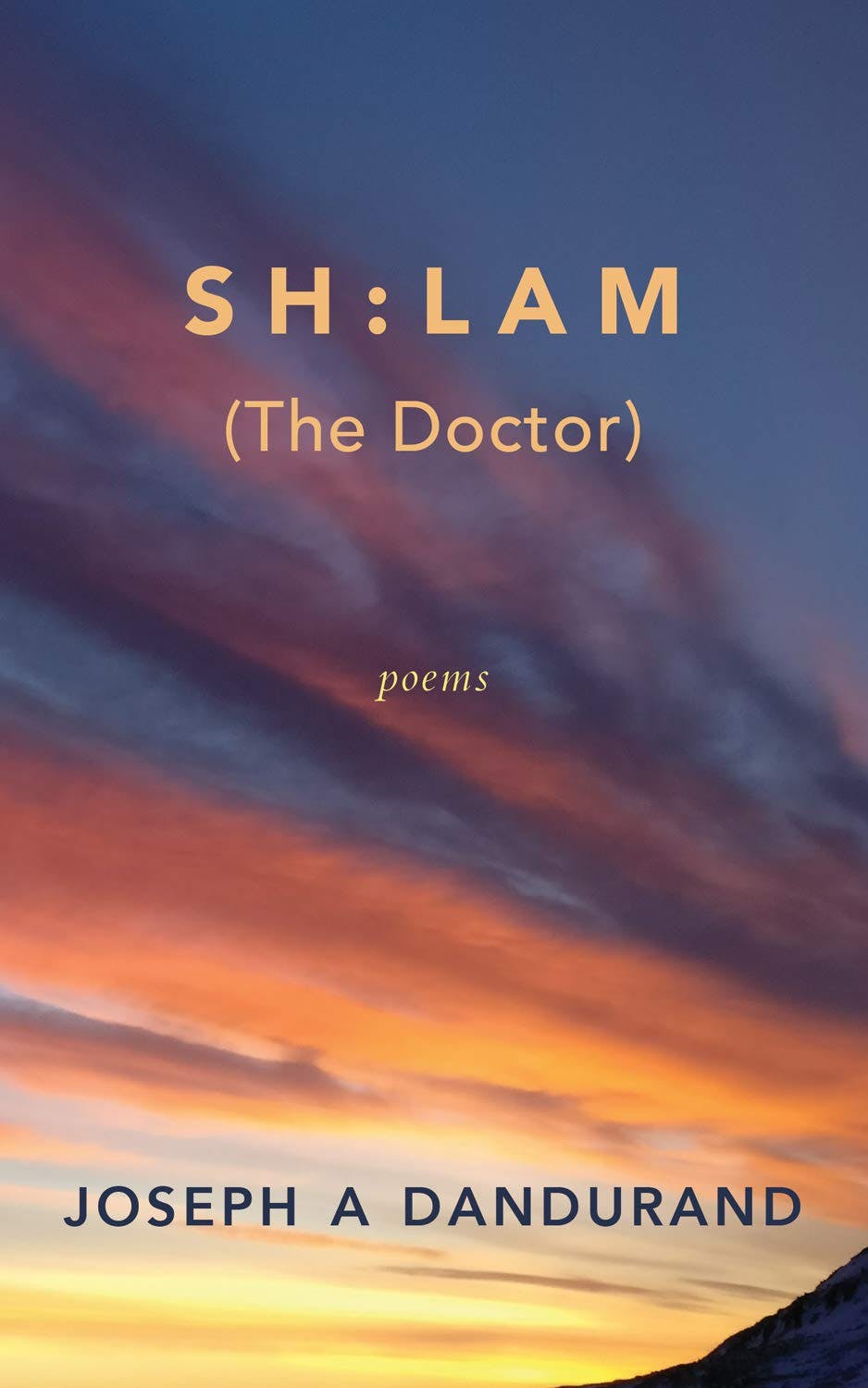 SH:LAM (The Doctor)