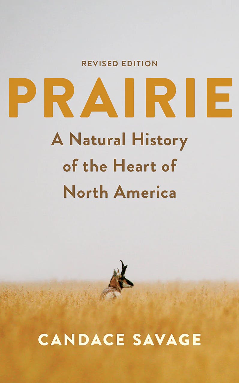 Prairie: A Natural History of the Heart of North America
