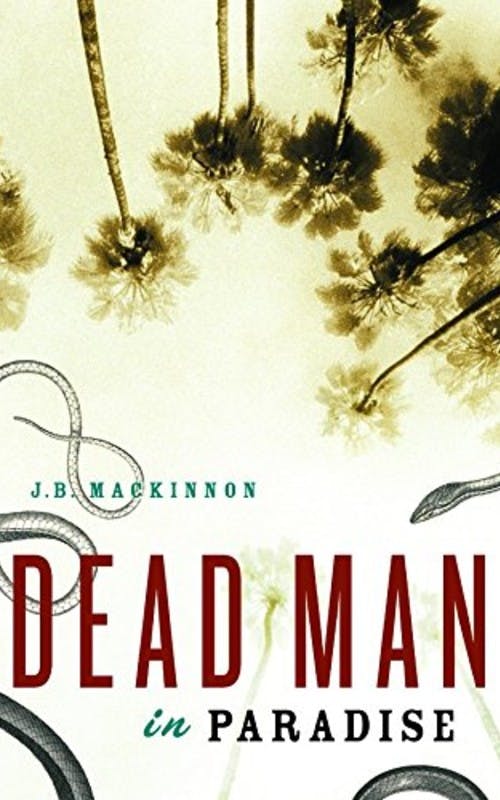 Dead Man in Paradise