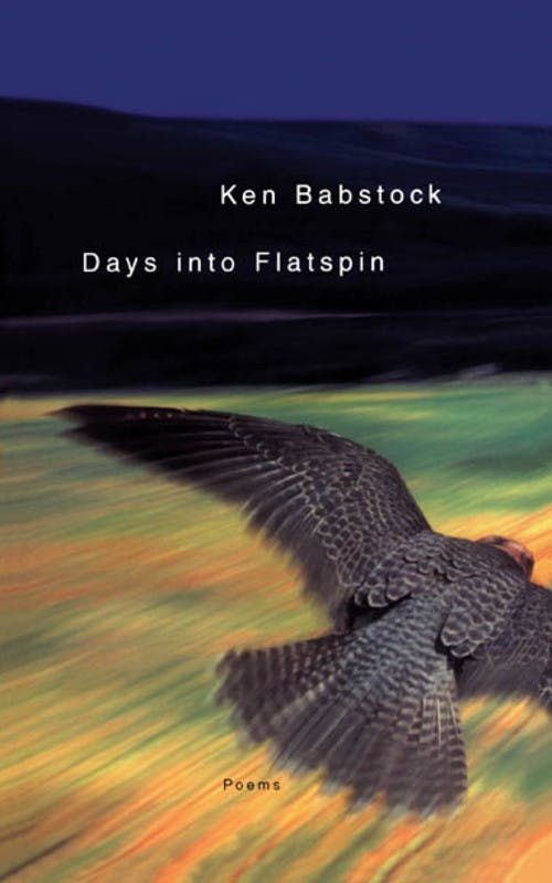 Days Into Flatspin