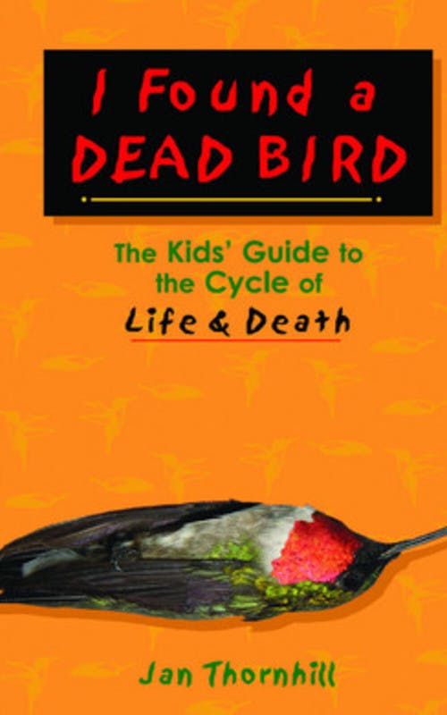 I Found a Dead Bird