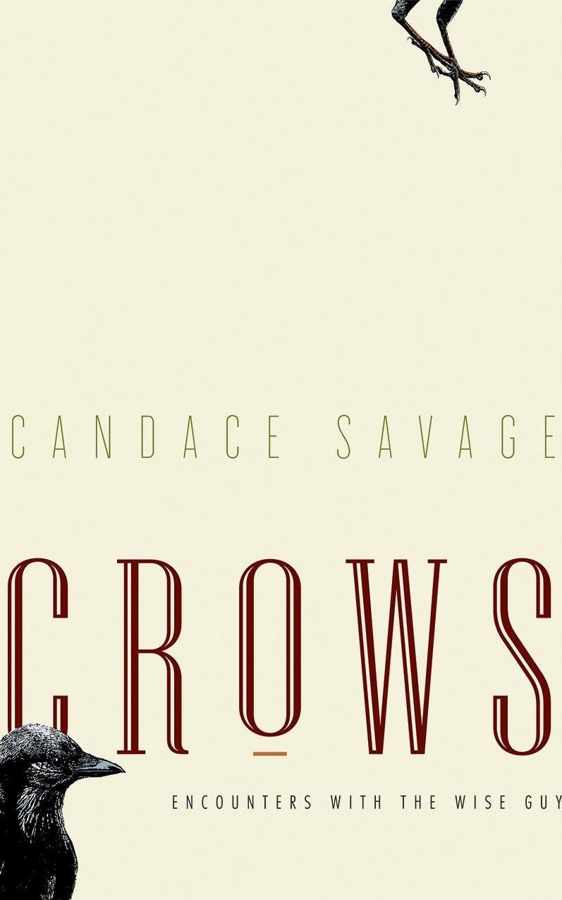 Crows: Encounters With The Wise Guys Of The Avian World